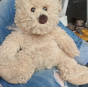 Vintage beany bear